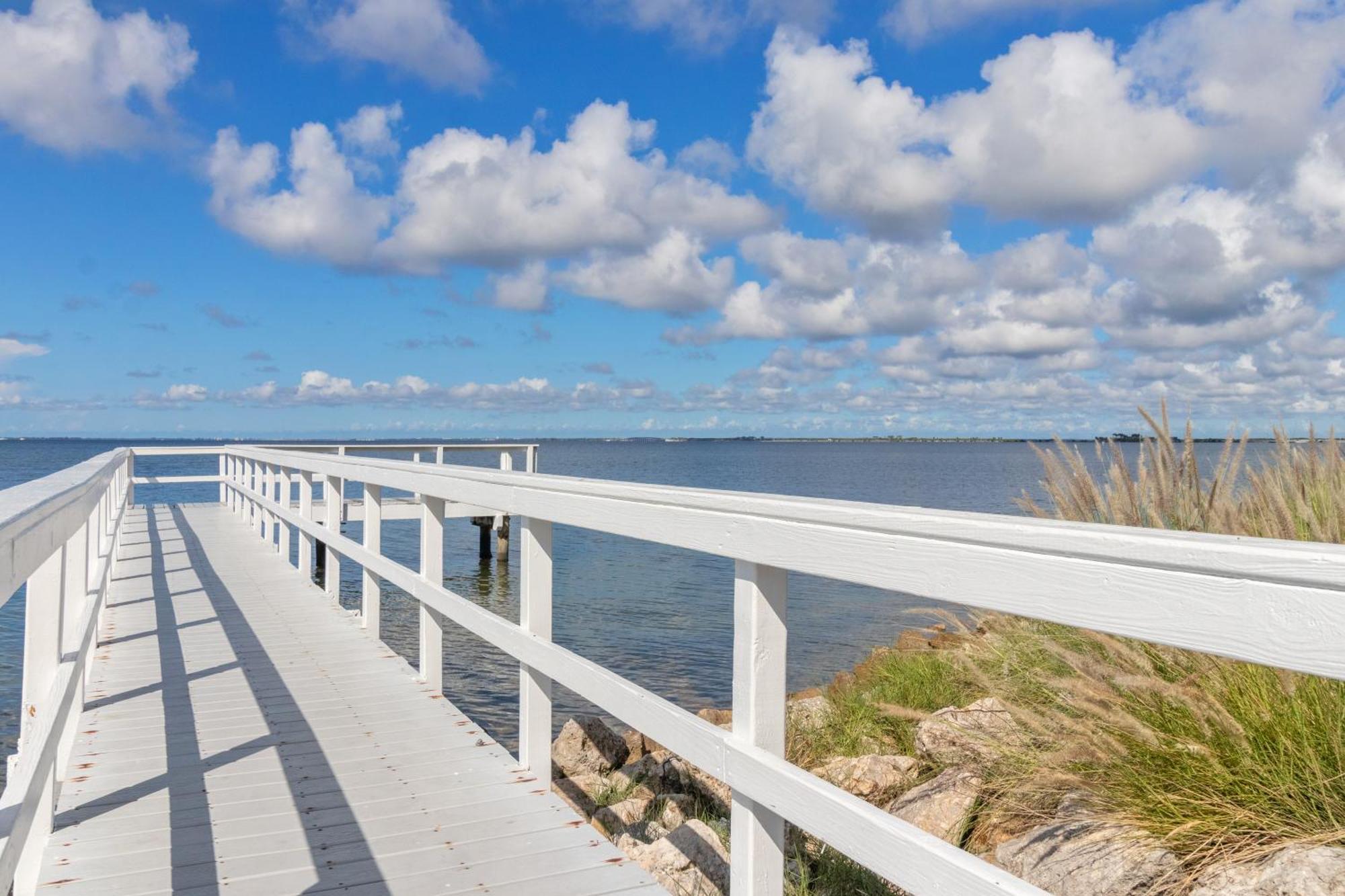 227-Wifi, New Paint, Amazing Views, Close To Bucs Stadium Tampa Zewnętrze zdjęcie